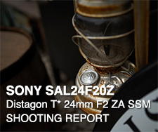 SONY SAL24F20Z Distagon T* 24mm F2 ZA SSM SHOOTING REPORT