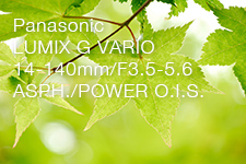Panasonic LUMIX G VARIO14-140mm/F3.5-5.6 ASPH./POWER O.I.S.