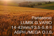 Panasonic LUMIX G VARIO 14-42mm/F3.5-5.6 II ASPH./MEGA O.I.S.