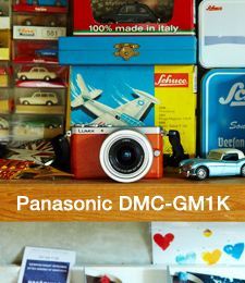 Panasonic LUMIX DMC-GM1K