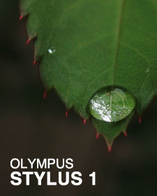 OLYMPUS STYLUS 1 SHOOTING REPORT