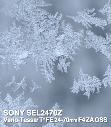 SONY SEL2470Z Vario-Tessar Sonnar T* FE 55mm F1.8 ZA