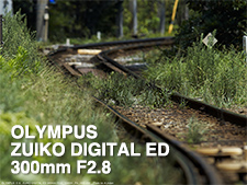 OLYMPUS ZUIKO DIGITAL ED 300mm F2.8