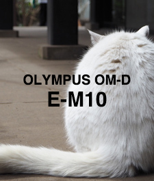 OLYMPUS OM-D EM-10 SHOOTING REPORT