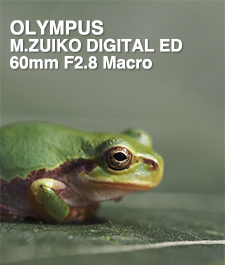 OLYMPUS M.ZUIKO DIGITAL ED 60mm F2.8 Macro SHOOTING REPORT