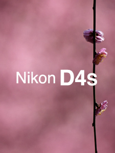 Nikon D4S SHOOTING REPORT Vol.02