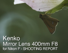 Kenko Mirror Lens 400mm F8 SHOOTING REPORT