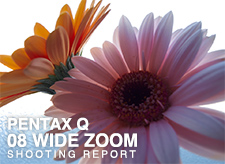 PENTAX Q 08 WIDE ZOOM SHOOTING REPORT
