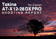 Tokina 12-28 PRO EX 12-28mm F4  SHOOTING REPORT