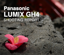 Panasonic LUMIX DMC-GH4 SHOOTING REPORT