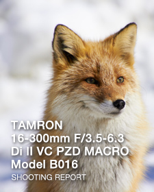 TAMRON 16-300mm F/3.5-6.3 Di II VC PZD MACRO