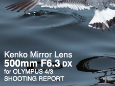 Kenko Mirror Lens 500mm F6.3 for OLYMPUS 4/3  SHOOTING REPORT