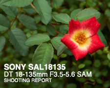 SONY SAL18135 DT 18-135mm F3.5-5.6 SAM SHOOTING REPORT