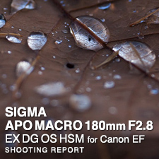 SIGMA APO MACRO 180mm F2.8 EX DG OS HSM for Canon SHOOTING REPORT