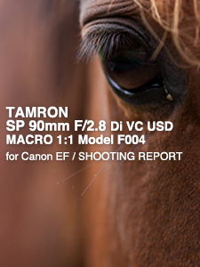 TAMRON SP 90mm F/2.8 Di VC USD MACRO 1:1 Model F004 SHOOTING REPORT
