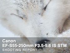 Canon EF-S55-250mm F4-5.6 IS STM SHOOTING REPORT