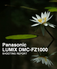 Panasonic FZ1000 SHOOTING REPORT