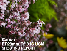Canon EF28mm F2.8 IS USM SHOOTING REPORT