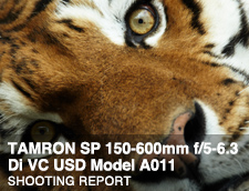 TAMRON SP 150-600mm F/5-6.3 Di VC USD Model A011 SHOOTING REPORT