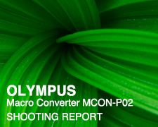 OLYMPUS Macro Converter MCON-P02 SHOOTING REPORT