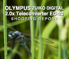 OLYMPUS ZUIKO DIGITAL 2.0x Teleconverter EC-20 SHOOTING REPORT