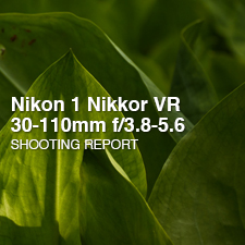 1 Nikkor VR 30-110mm f/3.8-5.6 SHOOTING REPORT