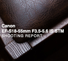 Canon EF-S18-55mm F3.5-5.6 IS STM SHOOTING REPORT