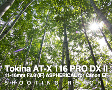 Tokina AT-X 116 PRO DX Ⅱ 11-16mm F2.8 (IF) ASPHERICAL for Canon EF  SHOOTING REPORT