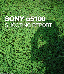 SONY α5100 SHOOTING REPORT