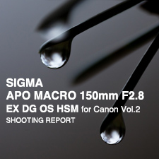 SIGMA APO MACRO 150mm F2.8 EX DG OS HSM  SHOOTING REPORT for Canon