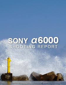 SONY α6000  SHOOTING REPORT