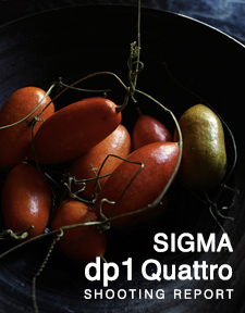 SIGMA dp1 Quattro  SHOOTING REPORT