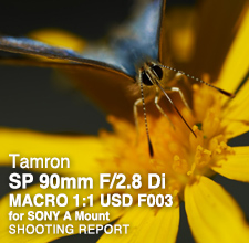 Tamron SP 90mm F/2.8 Di MACRO 1:1 USD F004  SHOOTING REPORT