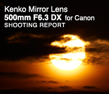 Kenko Mirror Lens 500mm F6.3 DX  SHOOTING REPORT