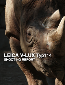 LEICA V-LUX (Typ114)  SHOOTING REPORT