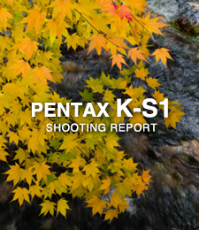 PENTAX K-S1  SHOOTING REPORT