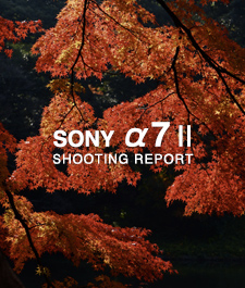 SONY α7 II  SHOOTING REPORT