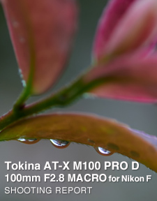 Tokina AT-X M100 PRO D 100mm F2.8 MACRO  SHOOTING REPORT Vol.2