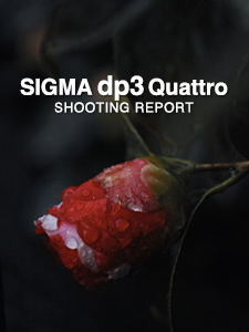 SIGMA dp3 Quattro  SHOOTING REPORT