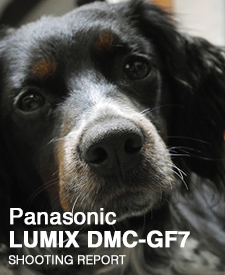 Panasinuc LUMIX DMC-GX7  SHOOTING REPORT