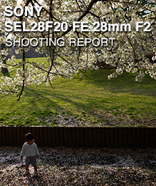 SONY SEL 28F20 FE 28mm F2  SHOOTING REPORT