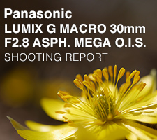 LUMIX G MACRO 30mm F2.8 ASPH. MEGA O.I.S.  SHOOTING REPORT