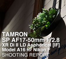 TAMRON SP AF17-50mm F/2.8 XR Di II LD Aspherical [IF] Model A16 for Nikon  SHOOTING REPORT