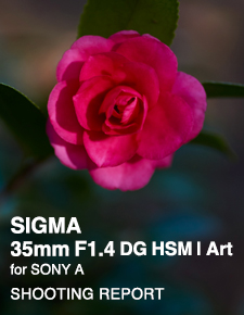SIGMA 35mm F1.4 DG HSM | Art for SONY A  SHOOTING REPORT