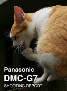 Panasonic DMC-G7 SHOOTING REPORT