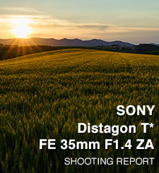 SONY SEL35F14Z Distagon T* FE 35mm F1.4 ZA SHOOTING REPORT