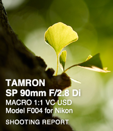 TAMRON SP 90mm F/2.8 Di MACRO 1:1 VC USD Model F004  SHOOTING REPORT