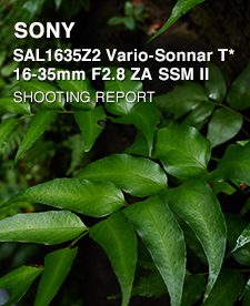 SONY SAL1635Z2 Vario-Sonnar T* 16-35mm F2.8 ZA SSM II  SHOOTING REPORT