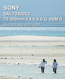 SONY SAL70300G2 70-300mm F4.5-5.6 G SSM II  SHOOTING REPORT
