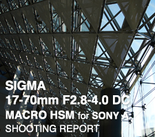 SIGMA 17-70mm F2.8-4 DC MACRO HSM | Contemporary for SONY A  SHOOTING REPORT